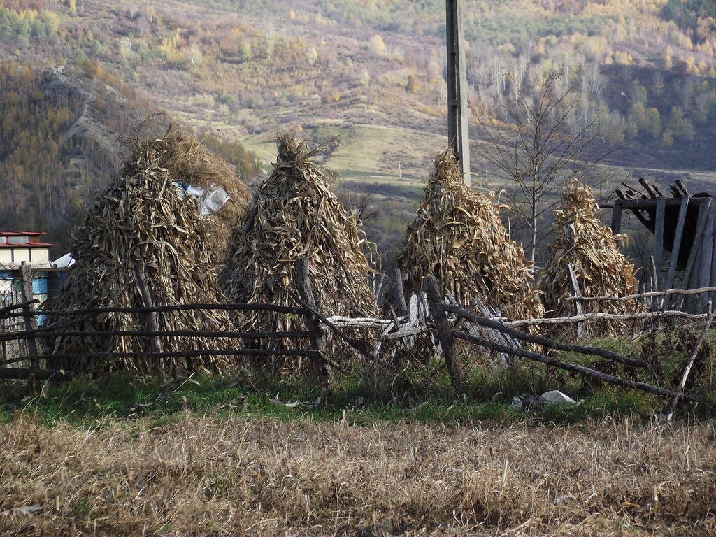 Pensiunea Valea Lupului Valea Lupului  Exterior foto
