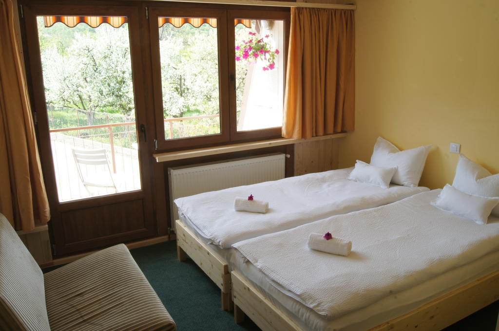 Pensiunea Valea Lupului Valea Lupului  Zimmer foto