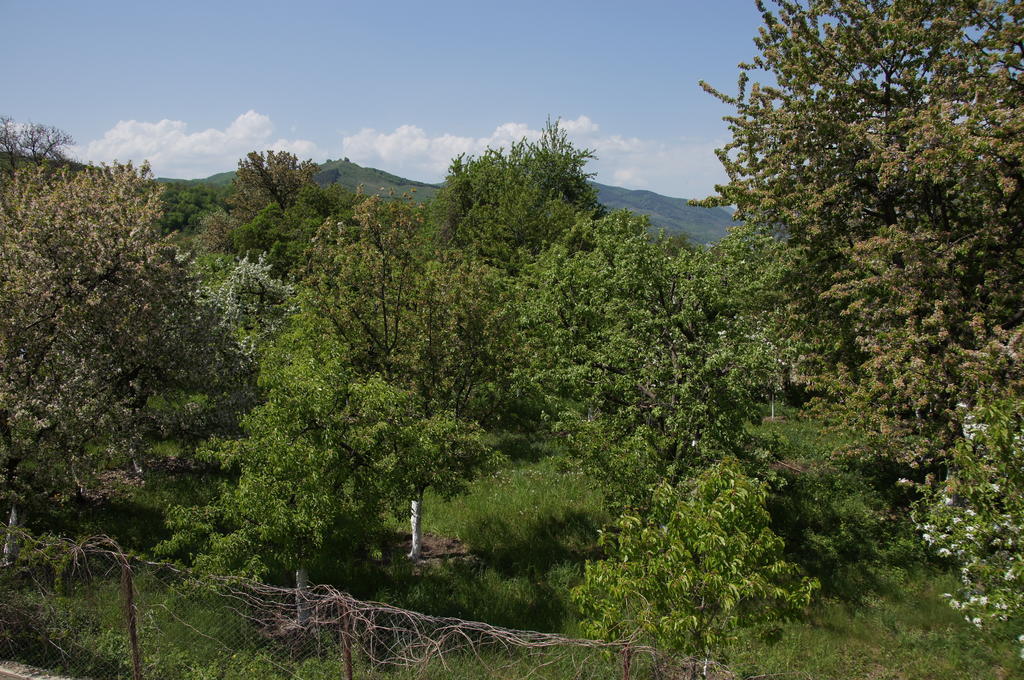 Pensiunea Valea Lupului Valea Lupului  Exterior foto
